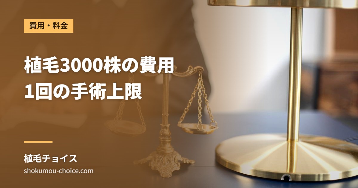 植毛3000株の費用 1回の手術上限
