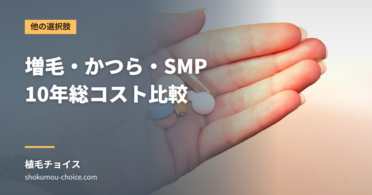 増毛・かつら・SMP 10年総コスト比較